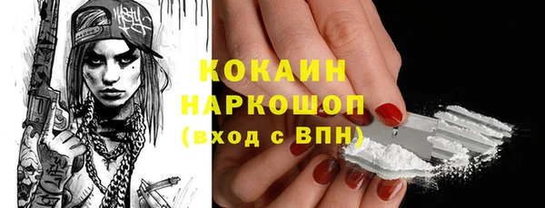 спиды Горняк