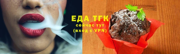 спиды Горняк