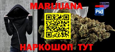 стаф Берёзовский