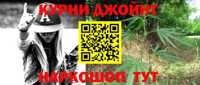 стаф Берёзовский