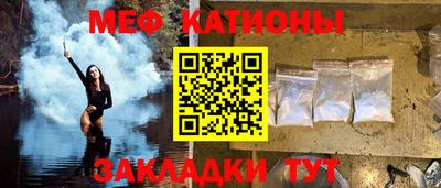 прущие грибы Бийск